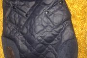 New Wax Effect Dog Jacket