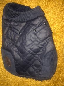 New Wax Effect Dog Jacket