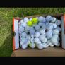 100 golf balls Image 3