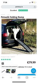 Petwalk Folding Ramp