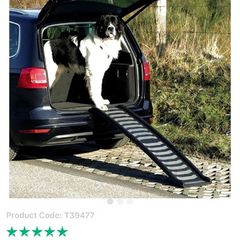 Petwalk Folding Ramp