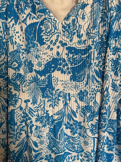 ladies dress