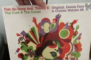 Fish go deep - cure and the cause 12" vinyl