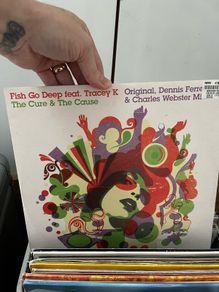Fish go deep - cure and the cause 12" vinyl