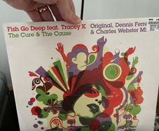 Fish go deep - cure and the cause 12" vinyl
