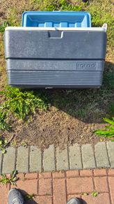 Igloo 50 liter Cooler box - 24 hours
