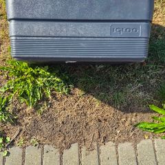 Igloo 50 liter Cooler box - 24 hours