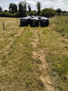 Round Bail Silage