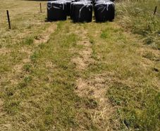 Round Bail Silage