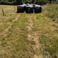Round Bail Silage