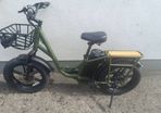 fiido electric bike