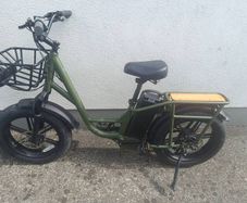 fiido electric bike