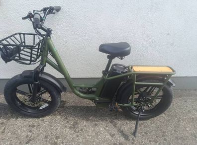 fiido electric bike