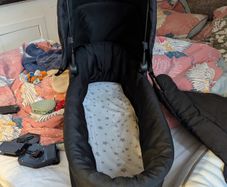 mountain buggy duet plus carrycot
