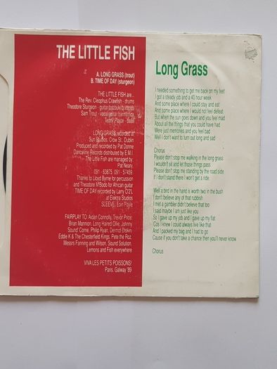 The little Fish 7" - Long Grass