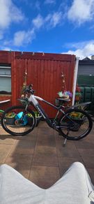 Totem Everest (electric mountain bike / e-MTB)