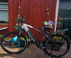 Totem Everest (electric mountain bike / e-MTB)