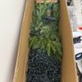 5ft Ashford Fir Christmas Tree and Warm White Lights Used Once Image 3
