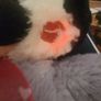 Arora Kissing Blushing Penguin Soft Plush Toy & Gift Bag Image 2