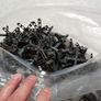 Bag Of Tile Spacers (new). Image 2