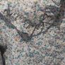 quilted floral print jact Image 5
