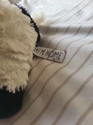 Take Me Home Koetje knuffel