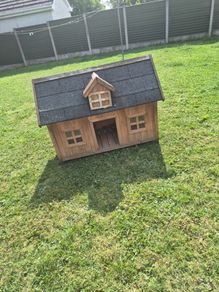 dog house