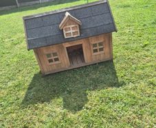 dog house