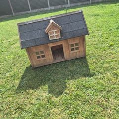 dog house