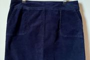 Talbots Skirt - US12P
