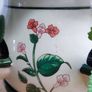 Cuban Oregano Plant with ceramic pot Image 3