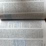 Focloir Gaeilge Bearla Irish Dictionary Image 3