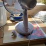 Fan Electric Image 2