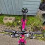 Frog bikes 52 Image 2