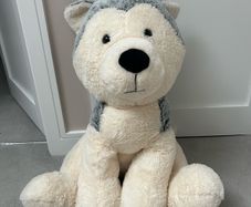 Giant Husky Dog Teddy