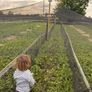 Snail Farm Equipment Image 3