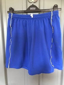 Proteam mens sky blue shorts Size XL