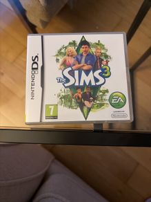 the Sims 3 Nintendo DS