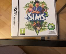the Sims 3 Nintendo DS