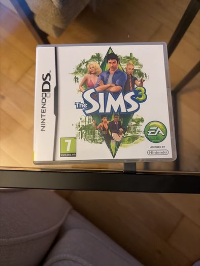 the Sims 3 Nintendo DS
