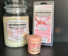 Yankee Candle Bundle
