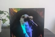 Arcade Fire - Reflektor (2xLP, Album, RE, 180)