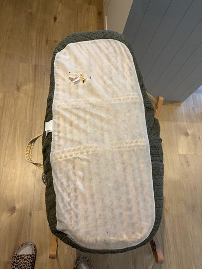 moses basket
