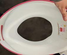 Toilet training seat