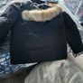 Canada goose Image 5