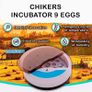 Egg incubator Chicken Incubators for hatching eggs with Automatic Temperature and Humidity Control (9 Eggs) - Chick Brooder - chicken eggs, Duck, Quail eggs, Goose and incubator Box kit (FREE SHIPPING) Image 2