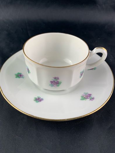 Antique Carl Teichert Meissen Demitasse Cup and Saucer