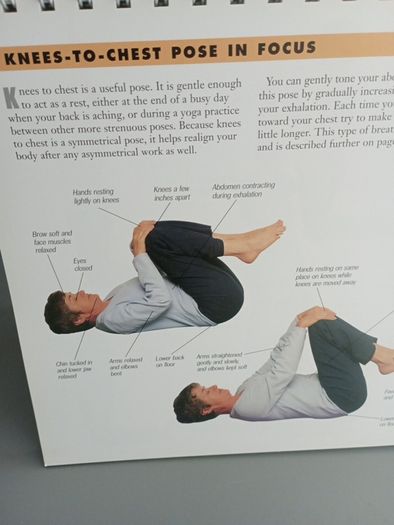 YOGA for Every Body