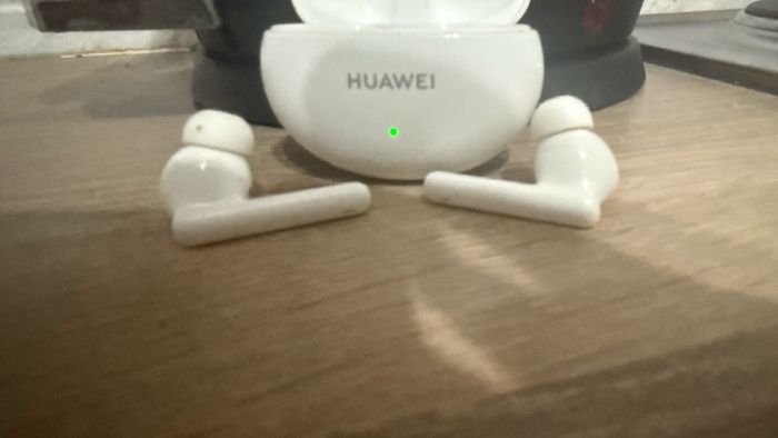 ear pods