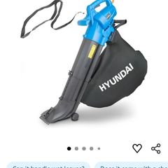 Hyundai Leaf Blower and Vacuum